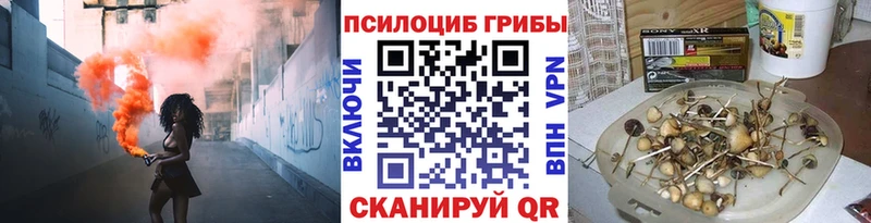 Галлюциногенные грибы прущие грибы Сегежа