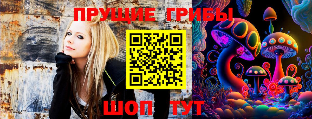 Галлюциногенные грибы мицелий  Вход с VPN  Сегежа 