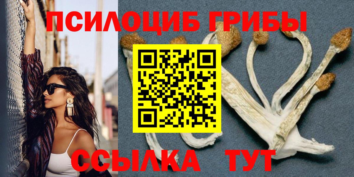 Галлюциногенные грибы Cubensis Сегежа